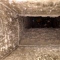Can air duct cleaning make you sick?