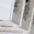 Breathing Easy: Mold Inspection In Toms River, NJ, During Duct Cleaning
