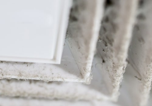 Breathing Easy: Mold Inspection In Toms River, NJ, During Duct Cleaning